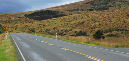 day, diffuse, diffused light, eye level view, hill, natural light, New Zealand, overcast, road, shrubland, summer