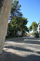 Alicante, day, eye level view, pavement, Spain, sunny, tree, Valenciana