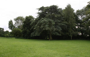 cloudy, day, diffuse, diffused light, England, eye level view, grass, park, St Albans, summer, The United Kingdom, treeline