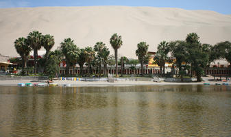 day, desert, direct sunlight, eye level view, Ica, palm, Peru, pond, spring, sunlight, sunny, sunshine