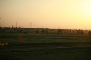 clear, dusk, East Timor, Egypt, Egypt, elevated, palm, sky, vegetation