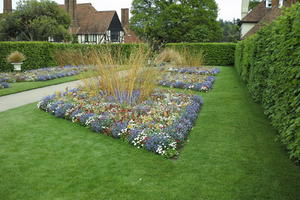 day, England, eye level view, flower, garden, grass, natural light, park, The United Kingdom, Woking