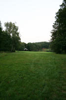 day, eye level view, grass, park, Poland, tree, vegetation, Wielkopolskie