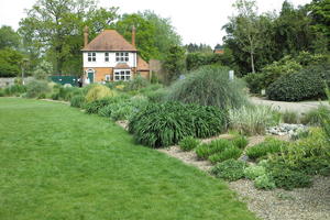 bush, day, England, eye level view, garden, grass, natural light, park, plant, The United Kingdom, Woking