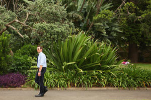 Australia, bush, business, day, eye level view, man, natural light, New South Wales, park, summer, Sydney, tree, vegetation, walking