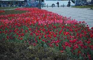 Mazowieckie, Poland, Warsaw