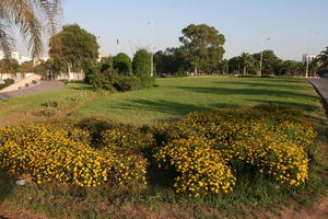 Agadir, autumn, bush, dusk, eye level view, flower, garden, Morocco, sunlight, sunny, sunshine, tree, vegetation