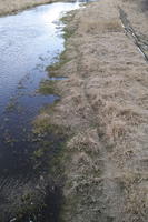 day, elevated, grass, Poland, Poznan, riverbank, spring, Wielkopolskie