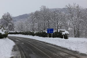 ambient light, day, diffuse, diffused light, eye level view, Italia , morning, natural light, overcast, road, snow, tree, Veneto, winter