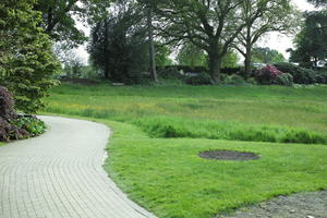 day, England, eye level view, garden, grass, natural light, park, The United Kingdom, Woking