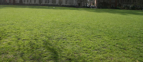 day, direct sunlight, England, eye level view, grass, London, park, spring, sunny, The United Kingdom, tree