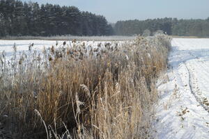 Poland, Wielkopolskie