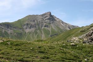 day, eye level view, grass, mountain, natural light, Switzerland, Switzerland, vegetation