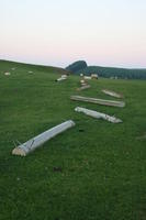 day, eye level view, field, grass, natural light, pipe, sheep, summer, The United Kingdom, Wales