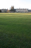 dusk, England, eye level view, grass, Oxford, The United Kingdom, winter