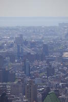 bridge, building, cityscape, day, elevated, Manhattan, New York, sunny, The United States