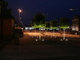 artificial lighting, broad-leaf tree, broad-leaved tree, city, city lights, England, eye level view, Gloucester, night, outdoor lighting, square, The United Kingdom, tree, urban, young