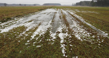 day, diffuse, diffused light, eye level view, field, Kopanica, Poland, snow, Wielkopolskie, winter