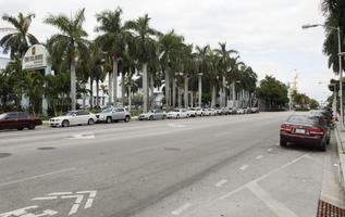 car, coconut palm, Cocos nucifera, day, diffuse, diffused light, eye level view, Florida, Miami, palm, pavement, street, summer, The United States