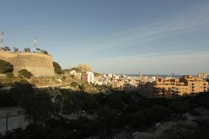 Alicante, cityscape, dusk, elevated, Spain, tree, Valenciana, vegetation