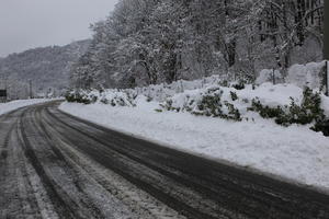 ambient light, bush, day, diffuse, diffused light, eye level view, Italia , morning, natural light, overcast, plant, road, snow, tree, Veneto, winter