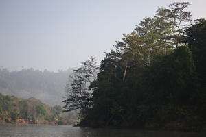 afternoon, Brunei, day, eye level view, forest, river, summer, sunny, tropical