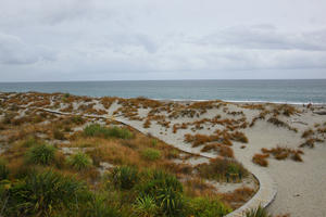 day, diffuse, diffused light, elevated, grass, natural light, New Zealand, overcast, plant, sand dune, summer, West Coast