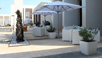 building, building, bush, day, direct sunlight, Dubai, Dubayy, eye level view, furniture, hotel, hotel, natural light, parasol, plant, sunlight, sunny, sunshine, terrace, terrace, The United Arab Emirates