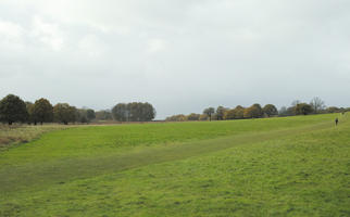 afternoon, Altostratus, autumn, cloudy, day, England, eye level view, grass, lawn, open space, outdoors, park, The United Kingdom, treeline, vegetation, Wimbledon