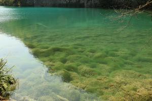 Croatia, day, fish, Karlovacka, lake, lowered, sunny