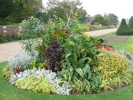 afternoon, bush, day, England, eye level view, flower, garden, natural light, park, plant, summer, sunny, The United Kingdom