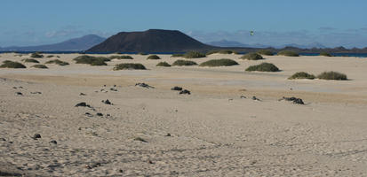 Canarias, day, desert, eye level view, Las Palmas, shrubbery, Spain, summer, sunny