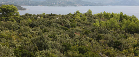 autumn, Croatia, day, diffuse, diffused light, elevated, mountain, shrubland