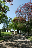 alley, broad-leaf tree, broad-leaved tree, day, eye level view, park, Porto, Porto, Portugal, shady, spring, sunny