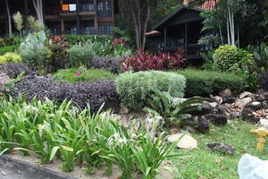 ambient light, day, eye level view, flower, garden, Kedah, Malaysia, overcast, plant, resort, tropical