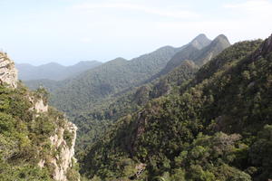 day, elevated, forest, Kedah, Malaysia, mountain, sunny, vegetation