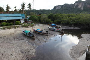 boat, day, elevated, house, Ko Phi Phi Don, Krabi, natural light, palm, roof, shore, Thailand, tree, vegetation