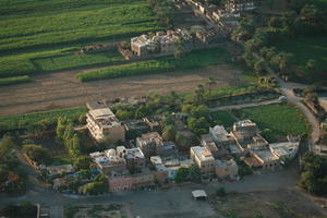 aerial view, dusk, East Timor, Egypt, Egypt, palm, town, tree, vegetation