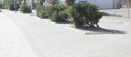 autumn, Barcelona, bright, bush, Cataluña, day, eye level view, pavement, shrub, Spain, sunny