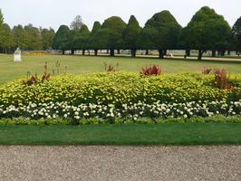 afternoon, day, England, eye level view, flower, garden, grass, natural light, park, plant, summer, sunny, The United Kingdom, tree