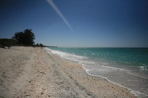 beach, clear, day, eye level view, Florida, Miami, natural light, sky, sunny, The United States, winter