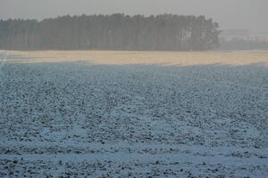 Poland, Wielkopolskie