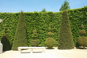 bench, bush, day, eye level view, France, hedge, Ile-De-France, landmarks, object, Palace of Versailles, Paris, park, path, spring, summer, sunny, vegetation