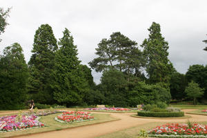 Abingdon, coniferous, day, England, eye level view, flower, flowering, garden, natural light, park, summer, The United Kingdom, tree, treeline