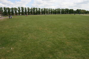 afternoon, bright, Cambridge, day, England, eye level view, grass, lawn, spring, The United Kingdom, tree, vegetation