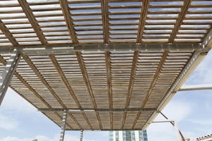 Canarias, canopy, day, eye level view, looking up, Spain, summer, sunny