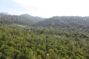 day, elevated, forest, Kedah, Malaysia, mountain, sunny, vegetation