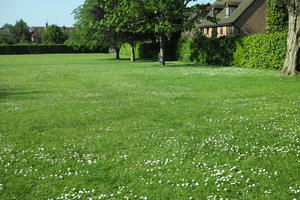 day, England, eye level view, grass, lawn, park, Romsey, sunny, The United Kingdom