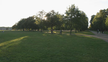 afternoon, broad-leaf tree, broad-leaved tree, day, England, eye level view, grass, London, park, summer, sunny, The United Kingdom