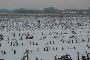 Poland, Wielkopolskie